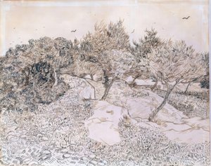 Olivträd i Montmajour av Vincent van Gogh