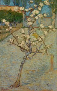 Litet päronträd i blom av Vincent van Gogh