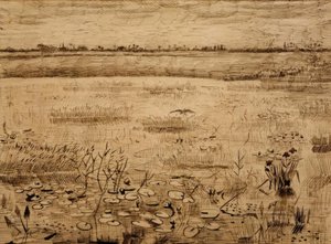 Träsklandskap med näckrosor av Vincent van Gogh