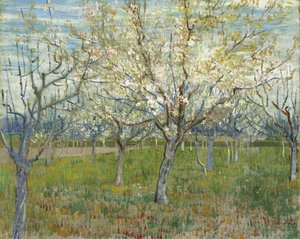 Den rosa fruktträdgården, även Fruktträdgård med blommande aprikosträd av Vincent van Gogh