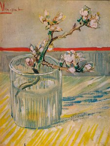 Mandelblommande stjälk, 1888 av Vincent van Gogh