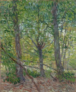  av Vincent van Gogh