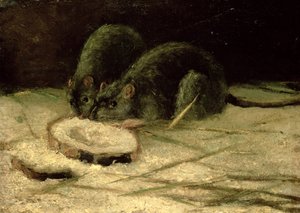 Två råttor, ca 1884 av Vincent van Gogh