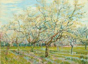 V. van Gogh, Den vita fruktträdgården av Vincent van Gogh