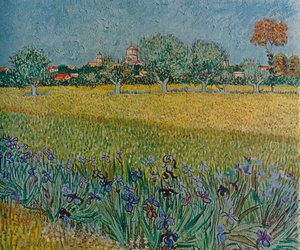 Utsikt över Ales med iris i blom, 1888 av Vincent van Gogh