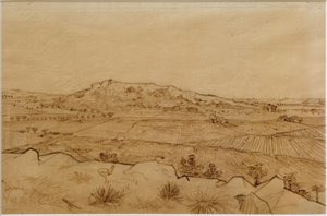 Utsikt över Crau av Vincent van Gogh