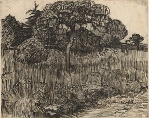 Gråtande träd av Vincent van Gogh