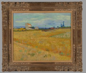 Vetefält av Vincent van Gogh