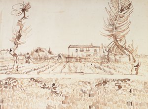 Arbeta på fälten i Arles; Plogman på fälten i Arles, 1888 av Vincent van Gogh