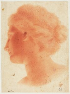 Huvud av Venus de Medici av Vincenzo Dandini