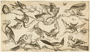 Elva fåglar och två insekter på minimal mark med uggla med utsträckta vingar..., 1572.