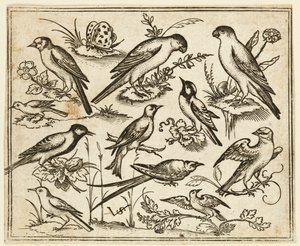 Elva fåglar som sitter på fläckar av blommande löv och små grenar..., 1557. av Virgil Solis