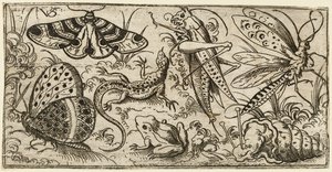 Grupp av insekter och djur på en slät mark med gräs..., 1530 - 1562. av Virgil Solis