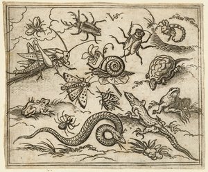 Grupp av insekter och reptiler på slätt mark med stenar, inklusive en leguan, en ödla..., 1557.