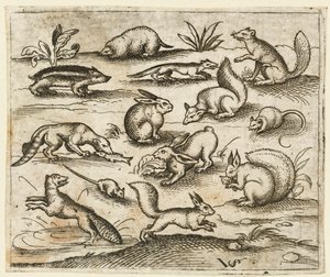Grupp av små skogsvarelser som äter och springer runt en damm, inklusive en mus..., 1557.