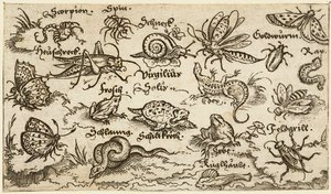 Insekter, reptiler, sniglar och fiskar på minimal mark med vatten i förgrunden..., 1572.