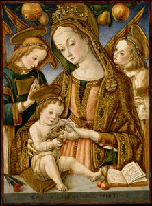 Madonna och barn med två änglar, ca. 1481-82.
