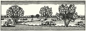 Illustration för Tess Of The D’Urbervilles av Thomas Hardy (gravyr)