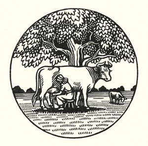 Illustration för Tess Of The D’Urbervilles av Thomas Hardy (gravyr)