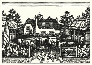 Illustration för Tess Of The D’Urbervilles av Thomas Hardy (gravyr)