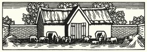Illustration för Tess Of The D’Urbervilles av Thomas Hardy (gravyr)