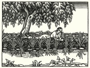 Illustration för Tess Of The D’Urbervilles av Thomas Hardy (gravyr)