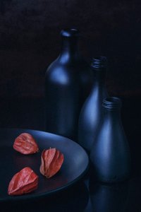 Physalis och Blue Bottles av Vladimir Pavlovskyy