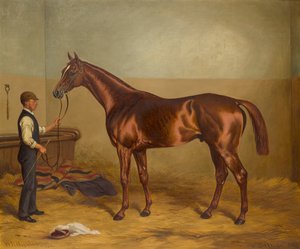 Sir Hugo som treåring innehas av Groom in a Stable, ca 1875-92 (olja på duk) av W.H. Hopkins