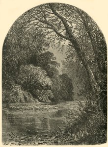 "Moss Islands, in the Juniata", 1874.