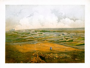 Betel, c1870.