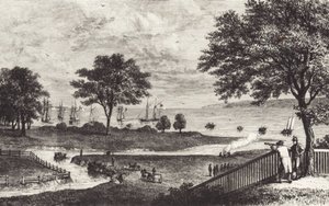 Buffalo (litho) av John Ward Dunsmore
