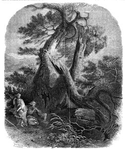 Exemplar av trästick, The Death of the Children of Niobe, ...1844.