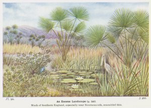 Ett eocent landskap (lito i färg) av W. J. Stokoe