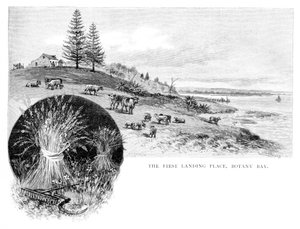 Den första landningsplatsen, Botany Bay, New South Wales, Australien, 1886.