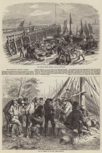 Yarmouth sillfiske
