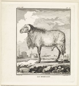 Bagge Le Morvant (titel på objekt) av W. Tringham