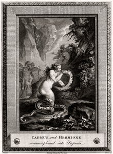 Cadmus och Hermione, omvandlade till ormar, 1776
