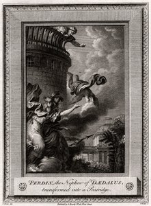 Perdix, brorsonen till Daedalus, förvandlades till en rapphöna, 1774