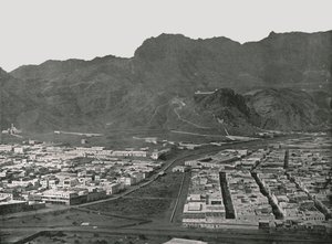 Allmän vy som visar Camel Market, Aden, 1895. av W and S Ltd