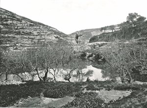 The Pool of Siloam, Jerusalem, Palestina, 1895. av W and S Ltd