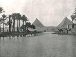 Pyramiderna och Nilen, Gizeh, Egypten, 1895.