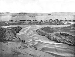 Nilens första grå starr, Assuan, Egypten, 1895.