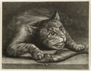 Katt med en fisk av Wallerant Vaillant