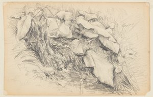Studie av gräs och växter av Walter Clark