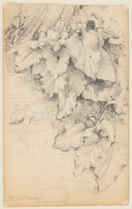 Study of Plants at the Edge of Water, High Bridge