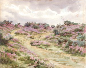 Bell Heather på Setley Plain (akvarell)