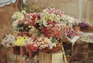 Blomsterbod, Mentone Market