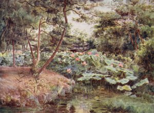 Pine och Pink Lotuses på Kofu av Walter Frederick Roofe Tyndale
