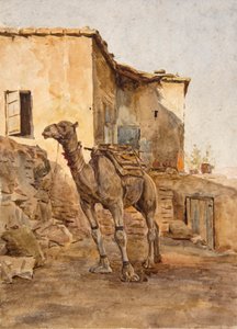 Uppbunden kamel (akvarell) av Walter Frederick Roofe Tyndale