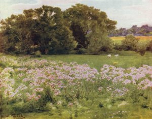 The New Forest: Riversdale, Boldre (färg litho) av Walter Frederick Roofe Tyndale